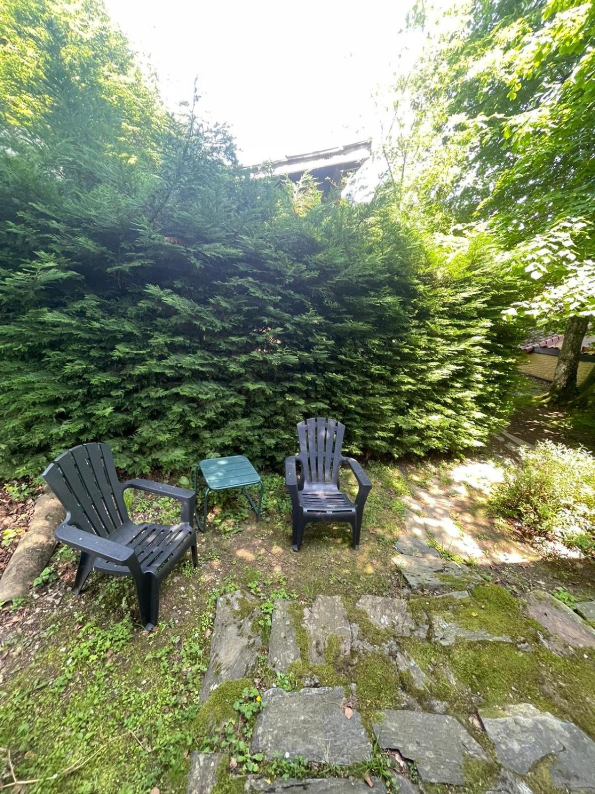 Les Myrtilles Le Bosc (Midi-Pyrenees)